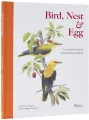 Bird, Nest & Egg - tantis.pl