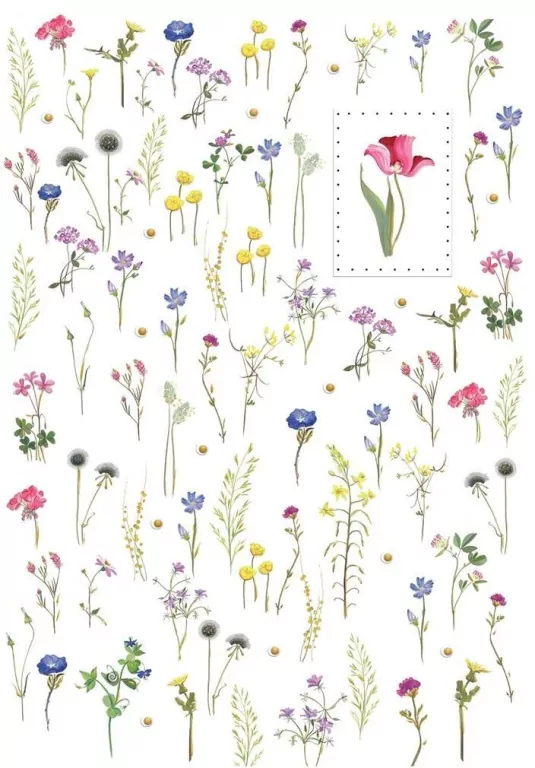 Karnet B6 + koperta MO5083 Kwiaty - tantis.pl