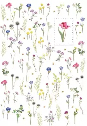 Karnet B6 + koperta MO5083 Kwiaty