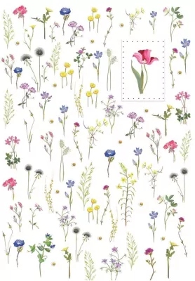 Karnet B6 + koperta MO5083 Kwiaty