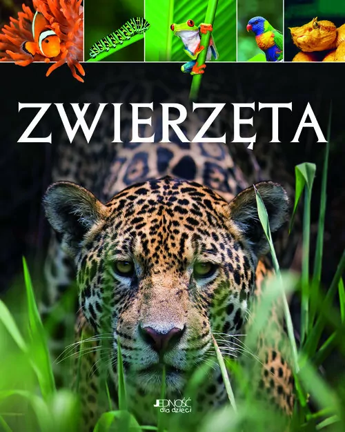 Zwierzęta - tantis.pl