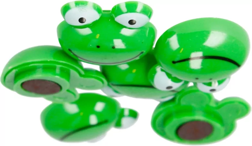 Magnesy. Żabki 6 sztuk - tantis.pl