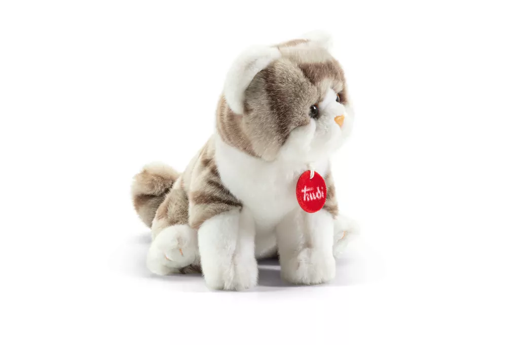 Kot szaro-biały - tantis.pl