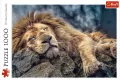 Puzzle 1000. Śpiący lew - tantis.pl