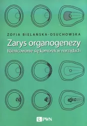 Zarys organogenezy. Różnicowanie się komórek w narządach