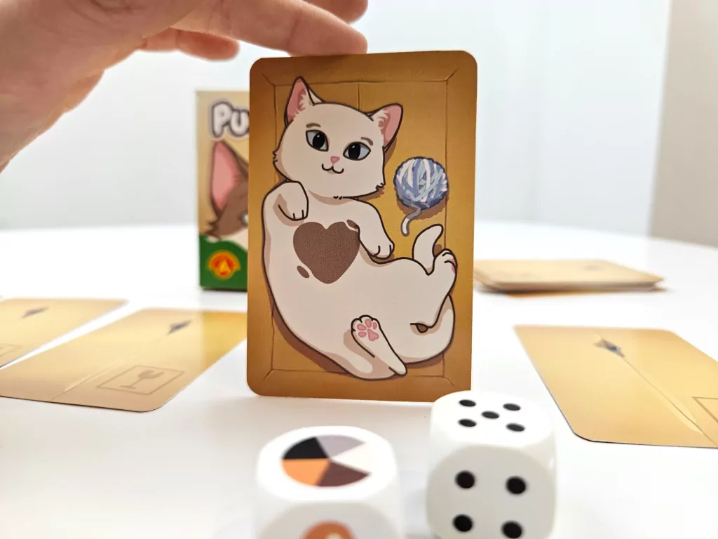 PudełKotki - tantis.pl