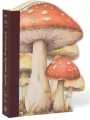 Eclectionery Notable Books - Muchomory - tantis.pl