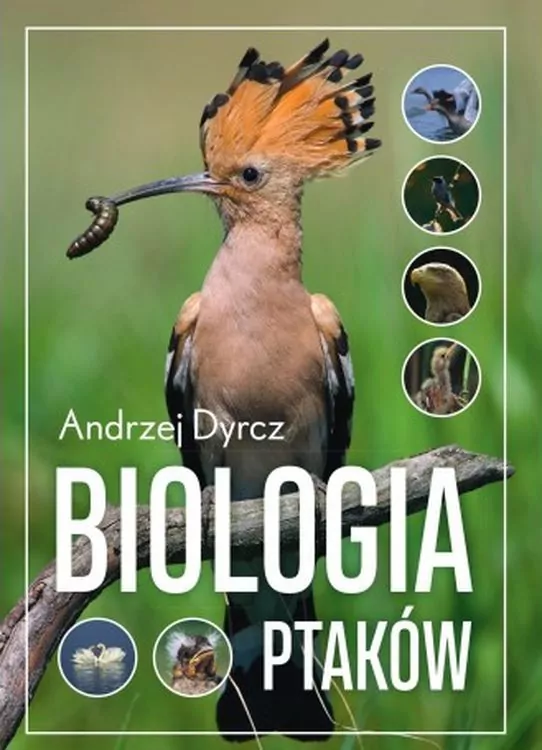 Biologia ptaków - tantis.pl