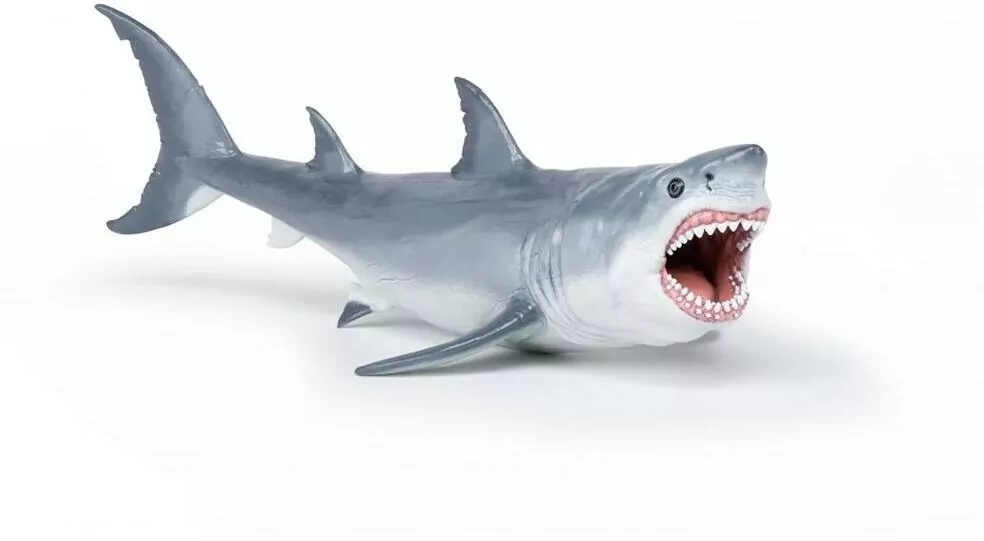 Megalodon - tantis.pl