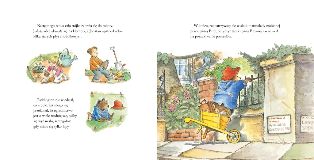 Paddington w ogrodzie - tantis.pl