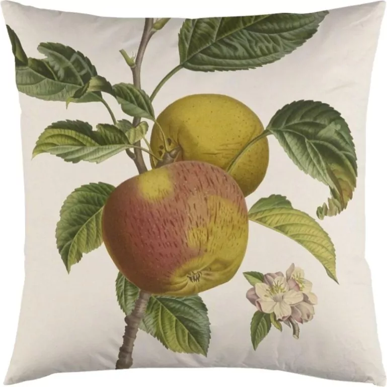Poszewka na poduszkę 50x50cm - Jabłoń - tantis.pl