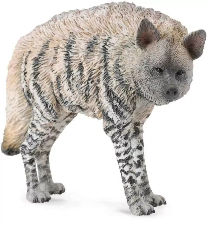 Hiena prążkowana - tantis.pl