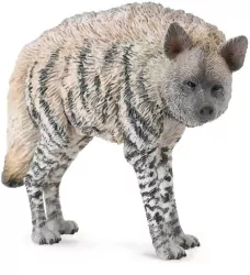 Hiena prążkowana