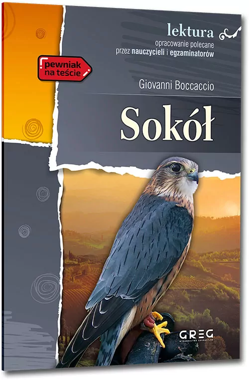 Sokół. Lektura z opracowaniem - tantis.pl