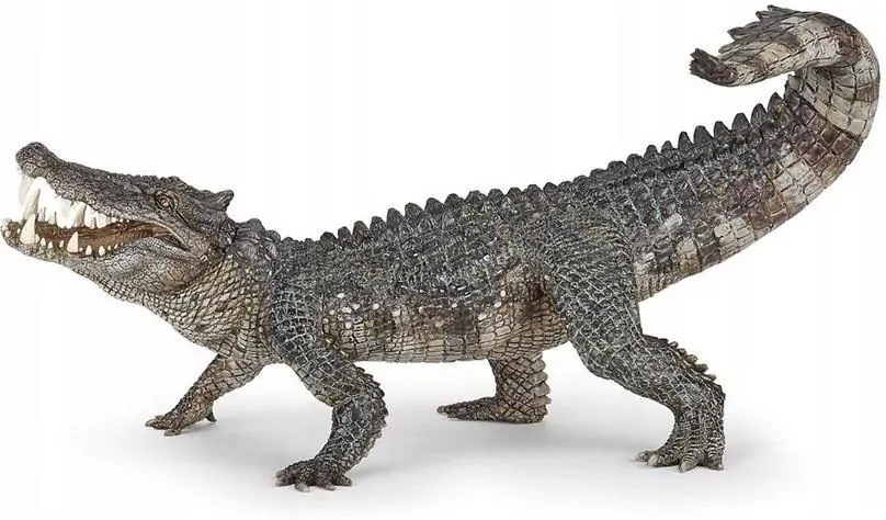 Kaprosuchus - tantis.pl