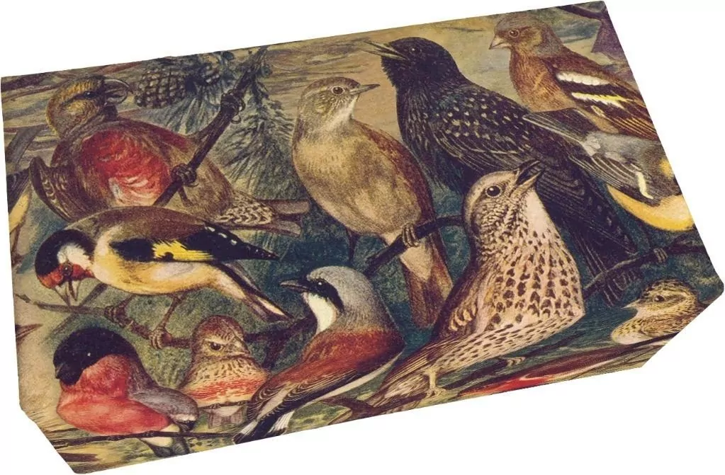 Mydło 200g zapach waniliowy Ptaki - tantis.pl