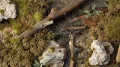 Gamers Grass: Swamp Shrubs - tantis.pl