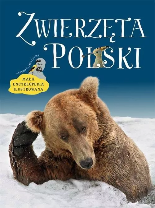 Zwierzęta Polski. Mała encyklopedia ilustrowana - tantis.pl