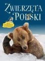 Zwierzęta Polski. Mała encyklopedia ilustrowana - tantis.pl