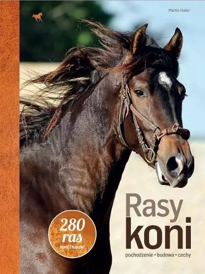 Rasy koni - tantis.pl