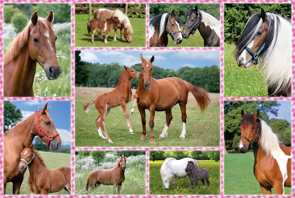 Puzzle 150. Konie - tantis.pl
