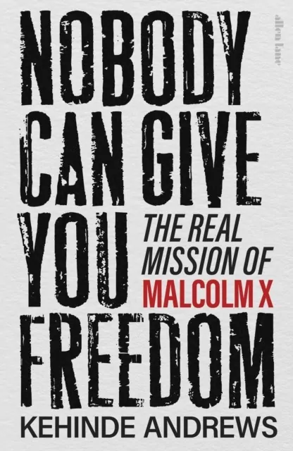 Nobody Can Give You Freedom wer. angielska - tantis.pl