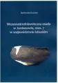 Wczesnośredniowieczna osada w Jordanowie, stan. 7 w województwie lubuskim - tantis.pl