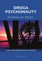 Droga psychonauty. Mapa wewnętrznych podróży - tantis.pl