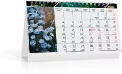Kalendarz 2026 biurkowy flora