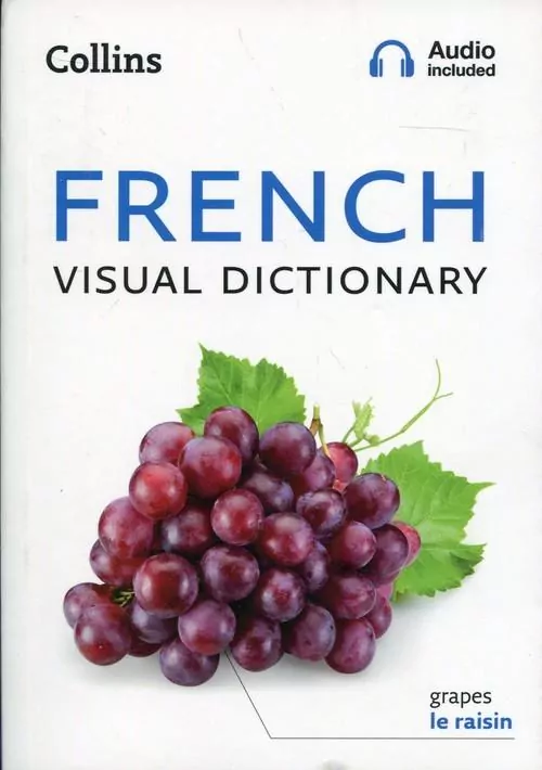 Collins French Visual Dictionary - tantis.pl