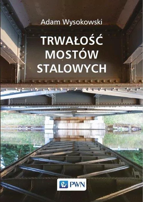 Trwałość mostów stalowych - tantis.pl