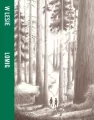 W lesie - tantis.pl