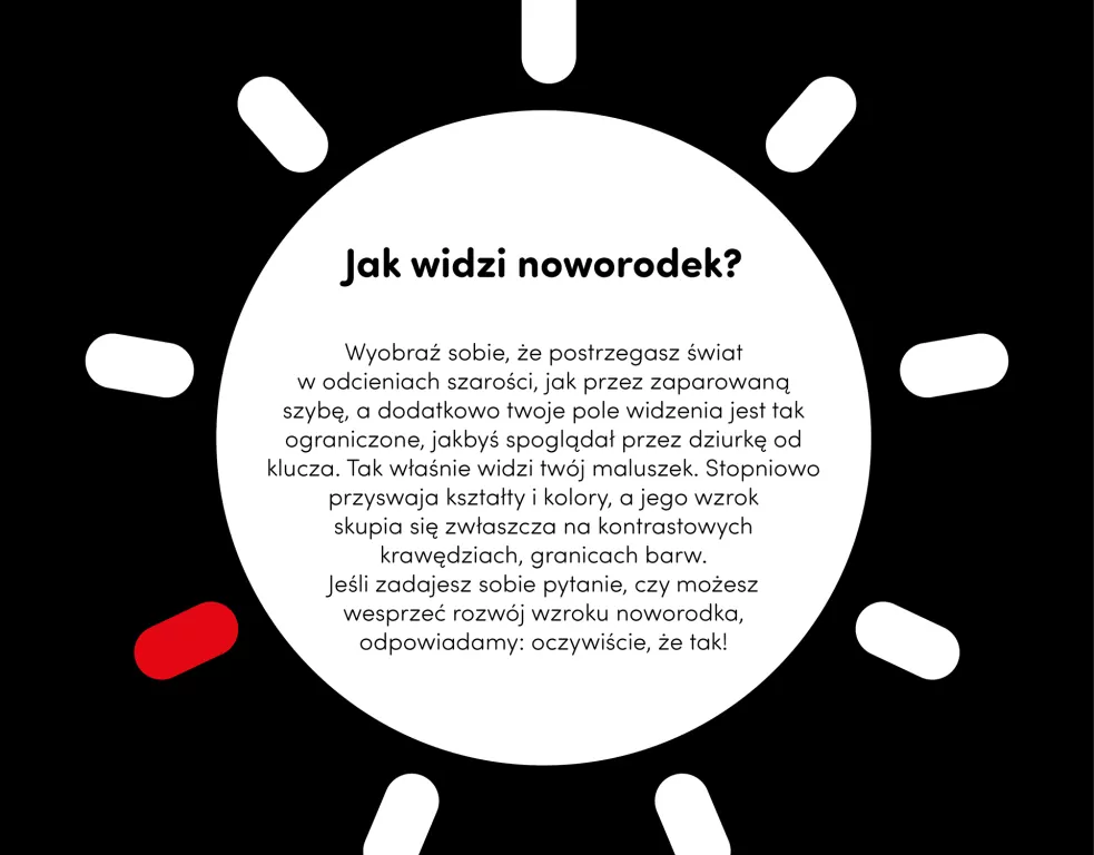 CzuCzu. Starter malucha. Co widzę 0-3-6 m+ - tantis.pl