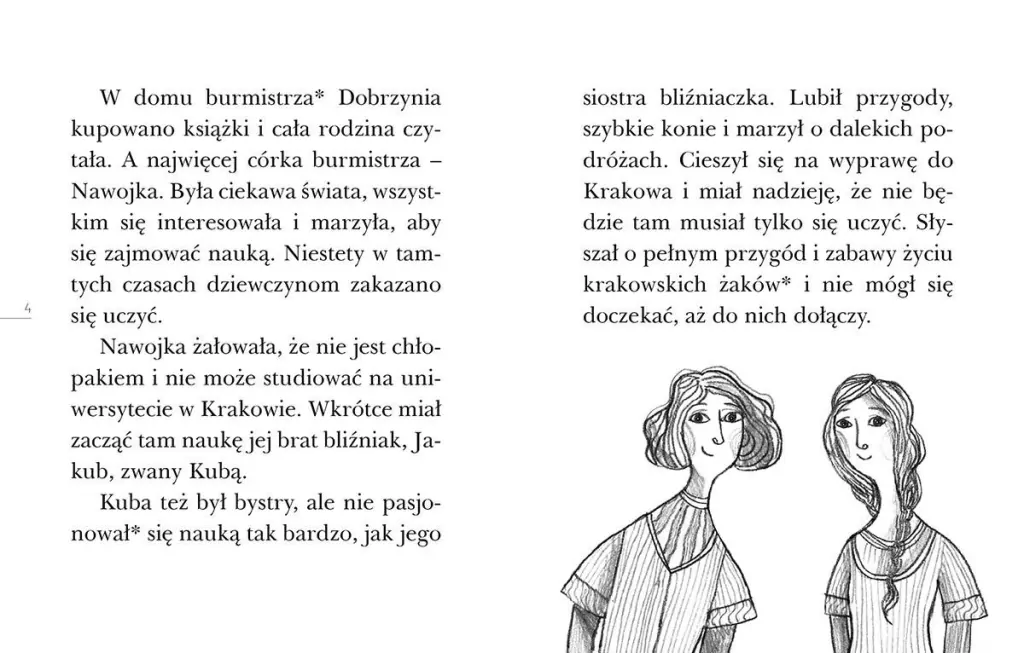 Tajemnica Nawojki. Czytam sobie. Poziom 3 - tantis.pl