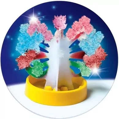 Gigantyczne kryształy. Naukowa Zabawa. 50106 - tantis.pl