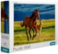 Puzzle 1000 Teaching the foal - tantis.pl