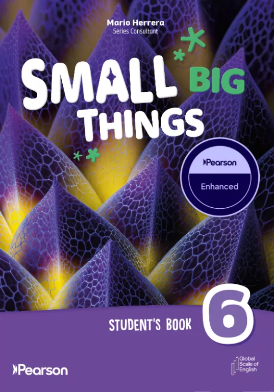 Small Big Things 6 Student's Enhanced Pack - tantis.pl