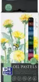 Pastele olejne Artistic OXFORD - tantis.pl