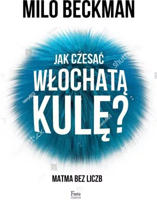 Jak czesać włochatą kulę. Matma bez liczb