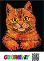 Kolorowanka welwetowa 47x35cm Kot Domowy - tantis.pl