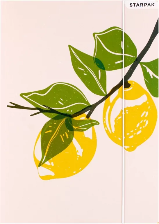 Teczka z gumką A4 Fruits - tantis.pl