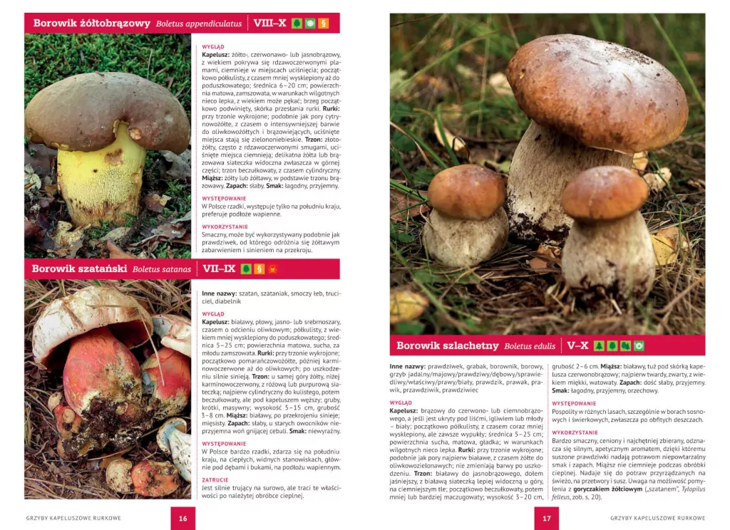 Atlas grzybów - tantis.pl