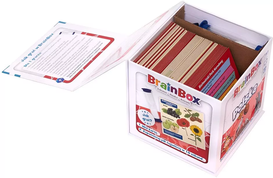 Rebel. BrainBox. Polska druga edycja - tantis.pl