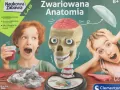 Zwariowana Anatomia. Naukowa zabawa - tantis.pl