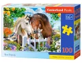 Puzzle 100. Best Friends - tantis.pl