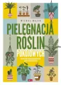 Pielęgnacja roślin pokojowych - tantis.pl