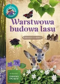 Warstwowa budowa lasu. Młody Obserwator Przyrody - tantis.pl