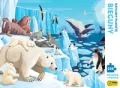 Książka i puzzle 220. Bieguny. Ratujmy planetę - tantis.pl