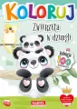 Koloruj Zwierzęta w dżungli - tantis.pl