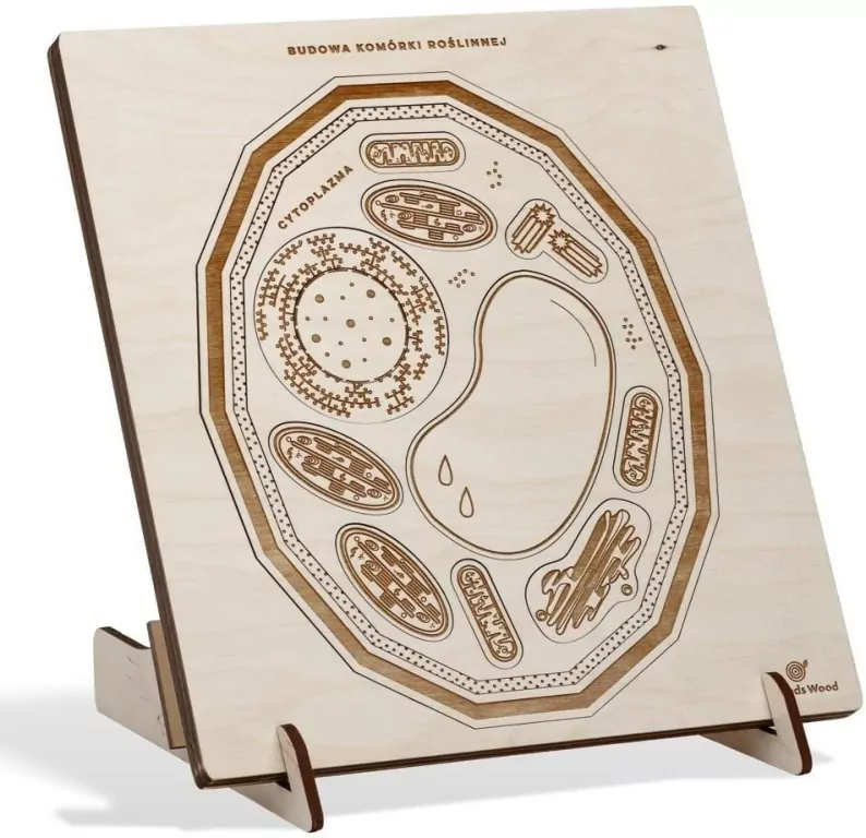 Puzzle drewniane Budowa komórki roślinnej - tantis.pl